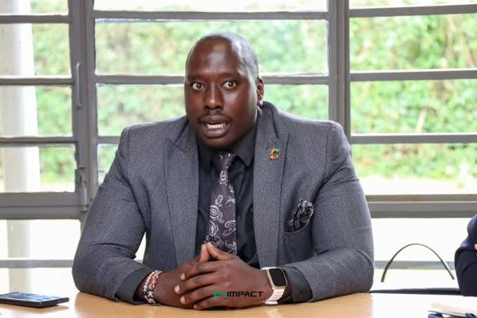 photo 2025 09 01 16 40 33